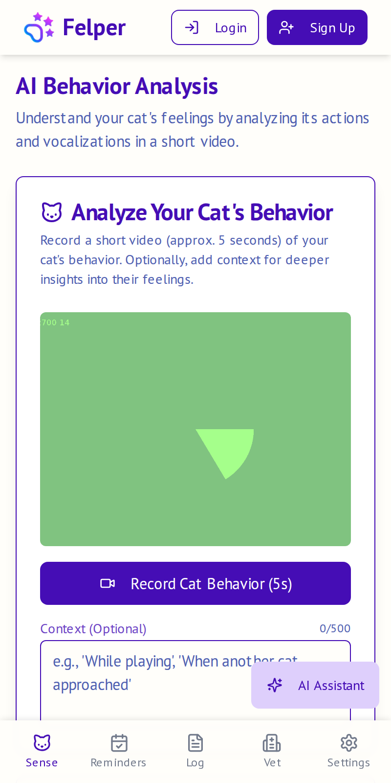 Why Does My Cat Keep Meowing? Decode Their Signals Using Felper Sense